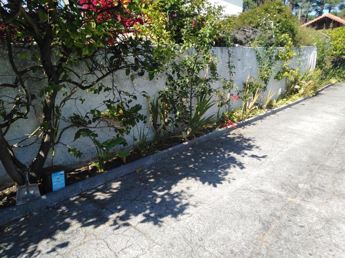 Cabedelo Seaside Guesthouse 维亚纳堡 外观 照片
